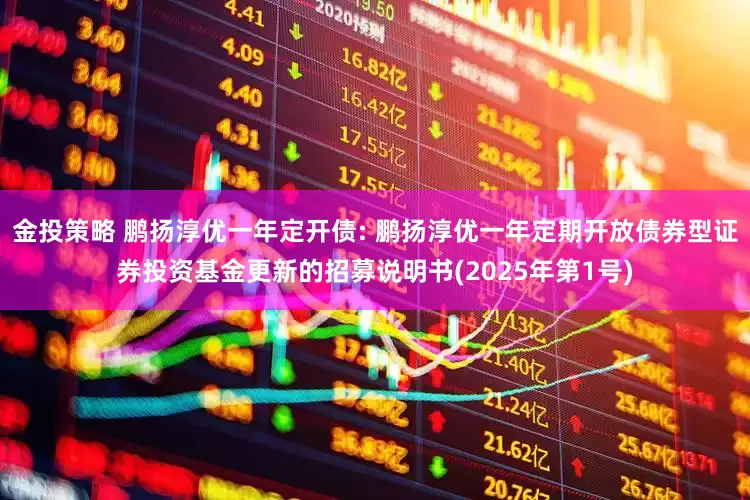 金投策略 鹏扬淳优一年定开债: 鹏扬淳优一年定期开放债券型证券投资基金更新的招募说明书(2025年第1号)