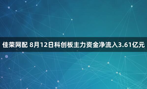 佳荣网配 8月12日科创板主力资金净流入3.61亿元